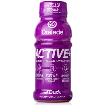 ORALADE ACTIVE 250ML AR PĪLES GARŠU SUŅIEM