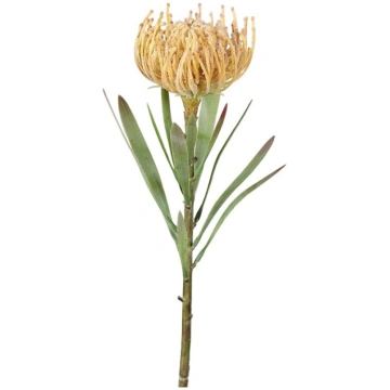 Mākslīgais augs (augstums 43 cm) Protea – Ego Deko