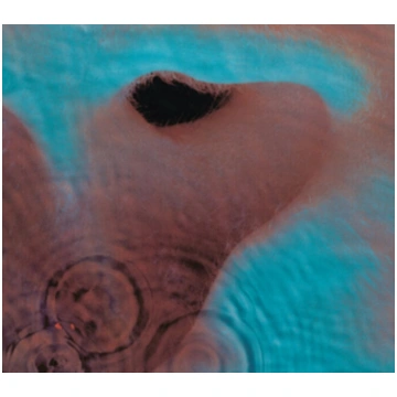 LP PINK FLOYD Meddle (Remastered, 180g) LP Vinila 