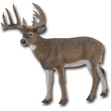 COLLECTA White Tailed briedis (L), 88832