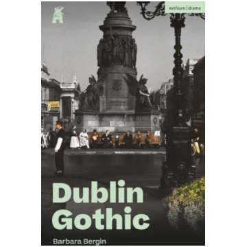 Dublin Gothic Bergin, Barbara