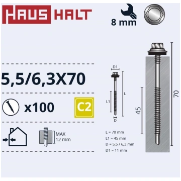 SELF SCREWS 5 5/6 3X70 MET+EPDM (100) 000051380955