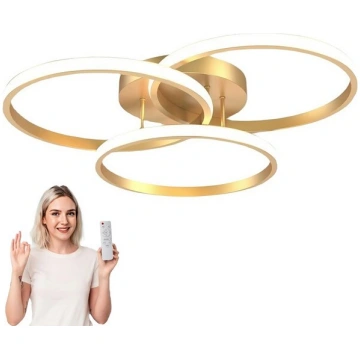 Zelta LED griestu lampa loft stilā – piekarams pla