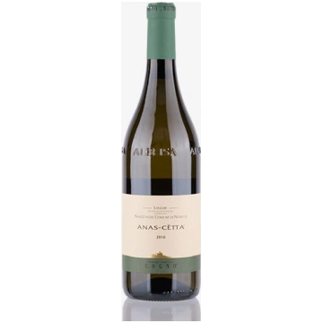'Bricco Pernice' Barolo Docg Ravera Cogn