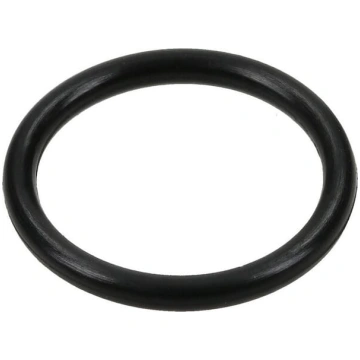 Spicer Dana O ring gredzens 001050816