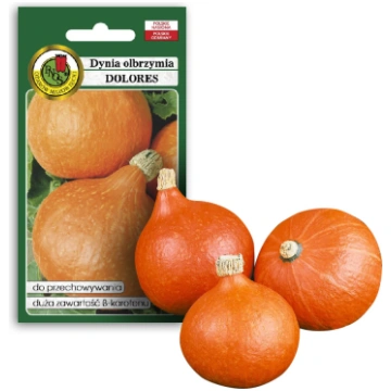 Giant Pumpkin Dolores PNOS Vegetable Seeds 5g Pack