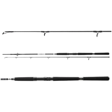Daiwa BG Pilk 2,70m 40-125g