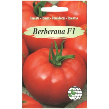 Tomāti Berberana F1 AMC, 7sēkl., Agrimatco sērija 