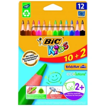 BIC Colored pencils EVOLUTION TRIANGLE 12 colours 