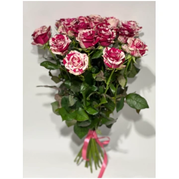 Rozes harlequin 30-40cm - 39