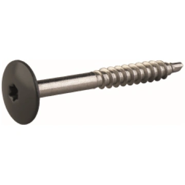 CEDRAL skrūves Torx, krāsotas (Click fasādes paneļ
