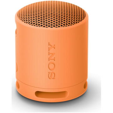 sony srs xb-100