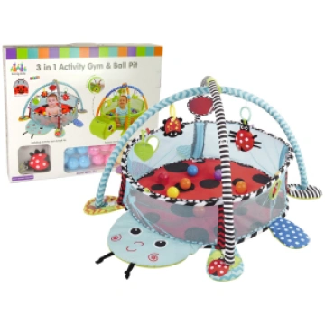 Ladybug Educational Mat Playpen Balls For Baby 100