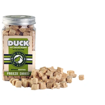 KIWI Walker DUCK Forza10