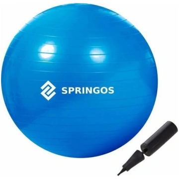Vingrošanas bumba ar pumpi Springos FB0009 85cm