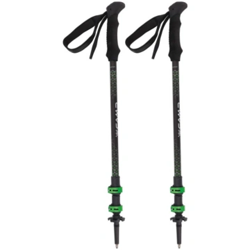 Bastoncini Camp Backcountry 3.0 Nero Verde