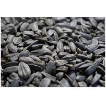 Putniem saulespuķu sēklas melnās 1 kg (47510041416