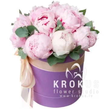 Rozā peonijas cepuru kastē