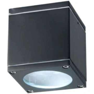 ONDALUCE OUTDOOR CEILING LAMP NEVADA