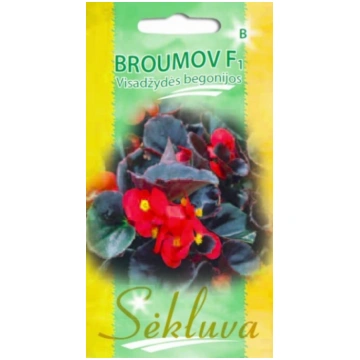 Begonijas Broumov F1 50gb sēklas Sēkluva