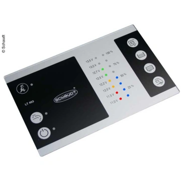 Display panel LT453