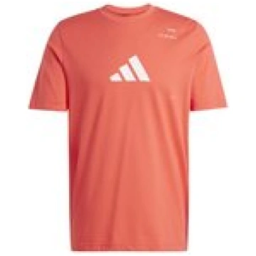 Adidas Padel Category Graphic