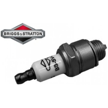 AIZDEDZES SVECE BRIGGS & STRATTON ZĀĻU PĻĀVĒJIEM 9