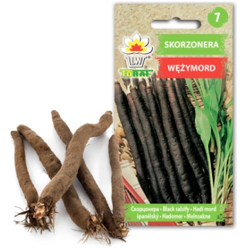 Black Salsify Duplex Toraf Vegetable Seeds 2g Pack