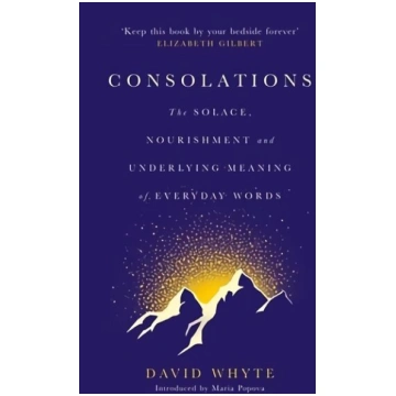 Consolations: The Solace, Nourishment and Underlyi