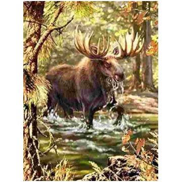 Puzzle Diamant painting: Moose in the river 30x40c