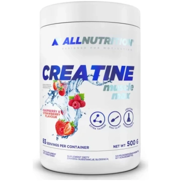 ALLNUTRITION Creatine Muscle Max 500g