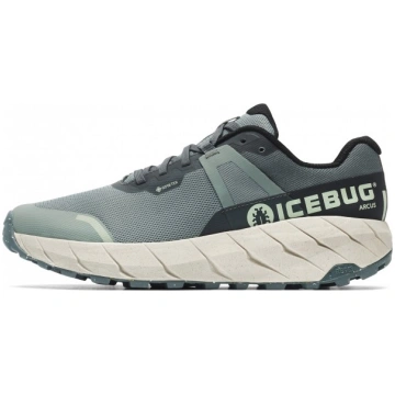 ICEBUG ARCUS RB9X GORE-TEX taku skriešanas apavi a
