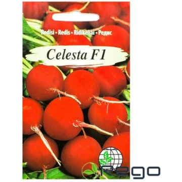 Redīsi Celesta F1 2g AMC