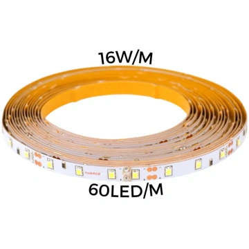 LED lente 16W/m 60LED/m 12V IP67 4000K 1592Lūmeni/