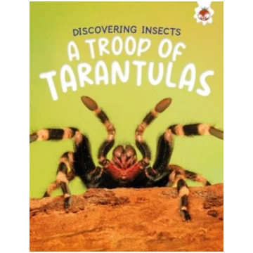 Discovering Insects: A Troop of Tarantulas Rebecca
