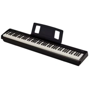 Roland FP-10