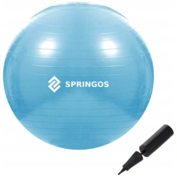 Vingrošanas bumba ar pumpi Springos FB0006 55cm