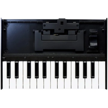 Roland K-25m Potable Keyboard Unit for Roland Bout