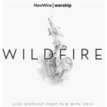 Lietots - CD New Wine Worship - Wildfire Integrity