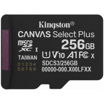 KINGSTON Atmiņas karte MicroSDXC 256GB Canvas Sele