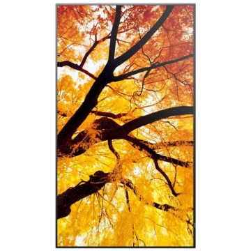 Monitor Sharp Monitor Videowall 60006053 4K Ultra 