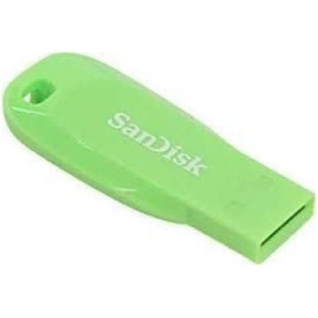 SANDISK BY WESTERN DIGITAL SANDISK MEMORY DRIVE FL