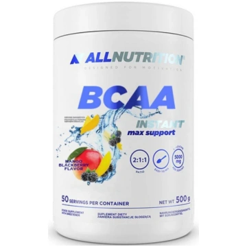 BCAA MAX SUPPORT INSTANT 500 g Mango/Melleņu