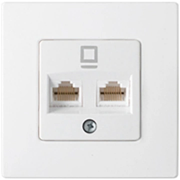 Interneta ligzda MASTER z/a, 2v., balta BYLECTRICA