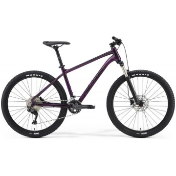 Big Seven 300 (Violeta / Melna, 15" / S) | 6110881