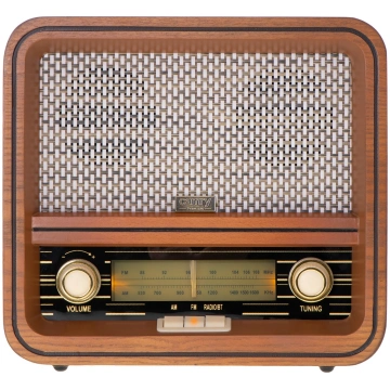 CAMRY Retro radio CR1188