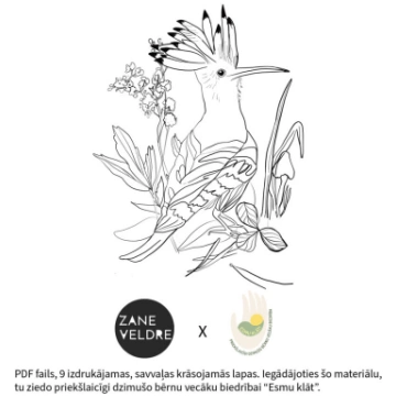 Savvaļas krāsojamās lapas - Zane Veldre