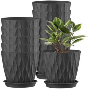 Mineup 12 iepakojumu puķu podiņu komplekts, 10 cm 