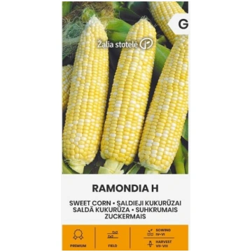 SALDĀ KUKURŪZA RAMONDIA H Žalia stotelė