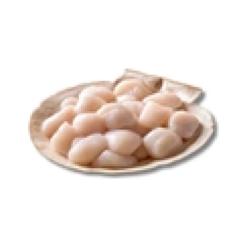 Jūras ķemmīšu gaļa Premium 10/20, 1kg kastē, saldē